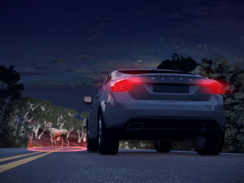 Volvo bremst nachts automatisch vor einem Elch mit rot leuchtender Warnmarkierung auf der Straße.